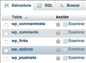 Editar tabla wp_options