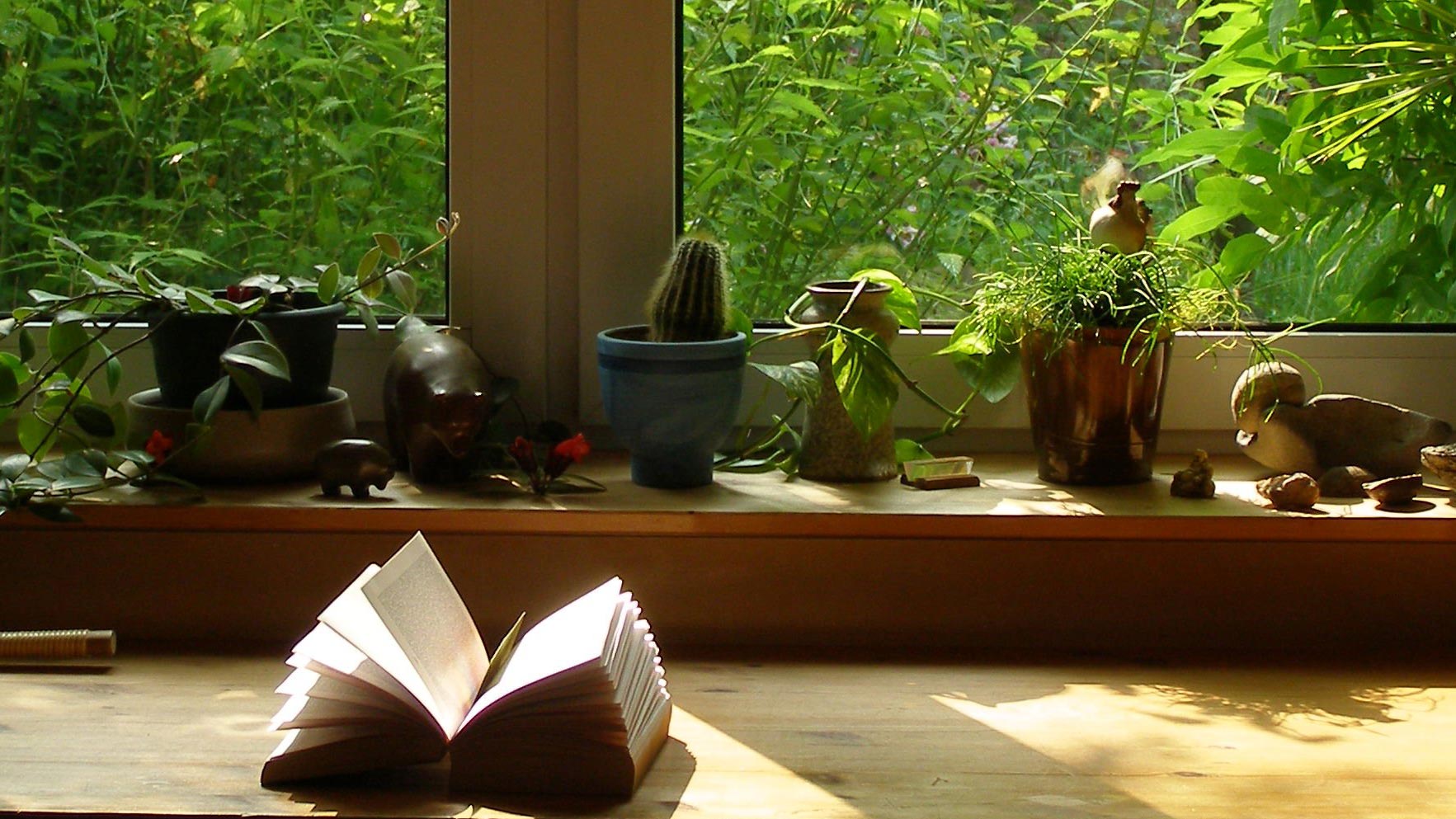 Lecturas imprescindibles para conquistar el mundo