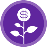 Curso de Introducción al Financiamiento de Startups