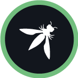 /cursos/owasp-top-10/