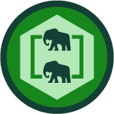 Curso de PHP: Arreglos, Funciones y Estructuras de Control