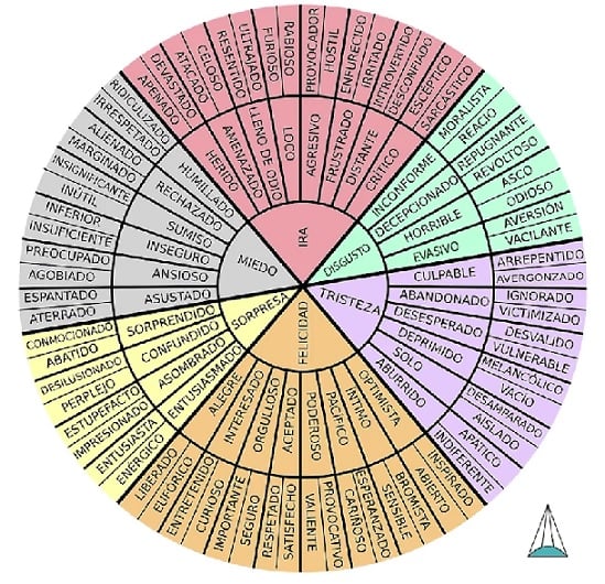 Círculo de las emociones.jpg