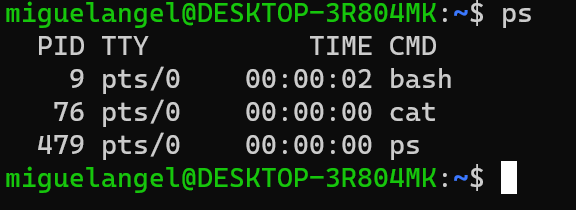 ejemplo-de-procesos-activos-en-la-terminal.png