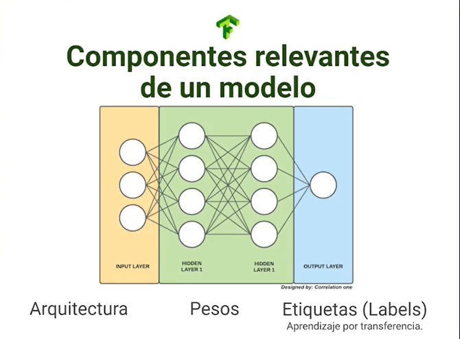 Componentes relevantes de un modelo a la hora de importarlo y exportarlo