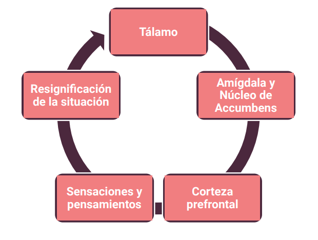 resumen.png