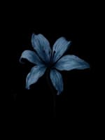 Avatar Emilia Gabriela Palma Preza