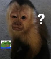 Jesús Eduardo López Hernández