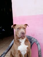 Avatar Claudia Elizabeth Hernández Arévalo