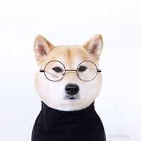 César Rodrigo Villegas  Lozano