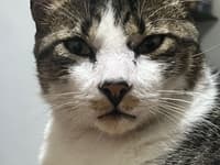 Avatar Oscar Alexis Martínez Flores