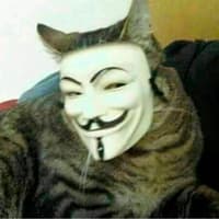 Avatar Angel Hernandez Joaquin