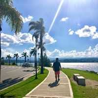 Avatar Anthony bocanegra