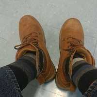 J Armando Peña Chagoya