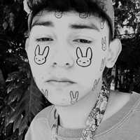 Avatar Herberth Eliott Hernández Quintanilla