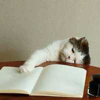 Maylen Isel Raimundo Serpas