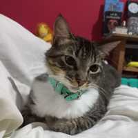 Grecia Esmeralda Maravilla Ramos