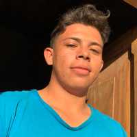 Avatar GERARDO TORRES