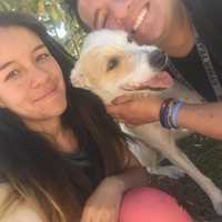 Cristiam Pardo