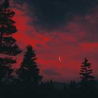 Elkin Darío Rojas Ortiz