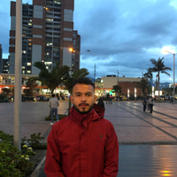 Avatar Fabian Ricardo Luengas Ruiz