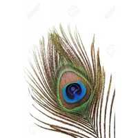 Avatar Gerson Palma