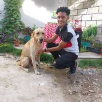 Avatar José María Castro Bertel