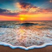 Avatar Jose Carlos Calix Hernandez