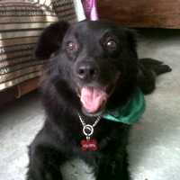 Lisseth Mayely Lazcarro Ortiz