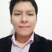 LUIS DAVID YAURI MARTINEZ