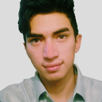 Moises Alirio Briceño Guzman