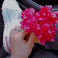 Maha Alnsour