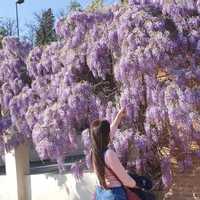 María Gil Monterrey