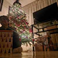 Moisés Abraham Chía Fuentes