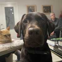 Nerea Martín Montalbán