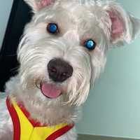 Avatar Nini Johanna mantilla Agudelo