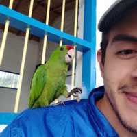 MARIO DE JESUS MARTINEZ PRESIGA