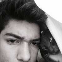 Avatar Samuel Viviescas Carrillo