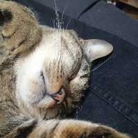 Avatar Andrés Molina