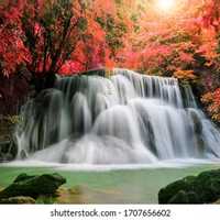 VIVIANA LISET NIETO ZAMORA