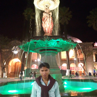 Alberth Michael Apaza Apaza