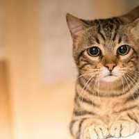 Alejandro Salazar Rivera