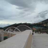 Ana Milena Forero Pinto