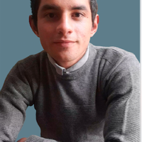 Wilmer Andres Briñez Alfonso