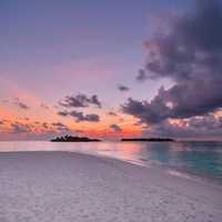 Avatar Angela Santacruz