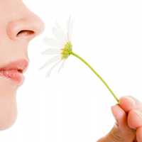 Avatar BLANCA EDITH CORTEZ DE VALENCIA