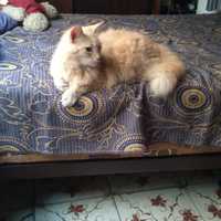 Avatar Brenda Edith Galan Basilio