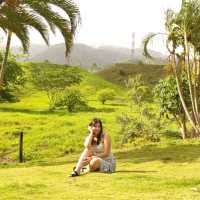 Avatar Carolina Camargo