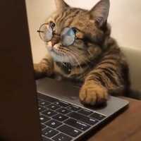 Avatar Catalina Mayorga Gonzalez