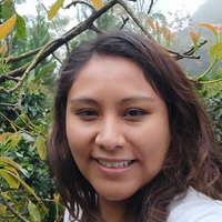 Avatar Catia Ari Huanca
