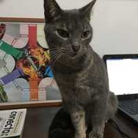 CLEMENCIA ECHEVERRY URIBE